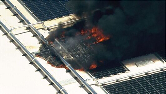 恭喜!泽润荣获2021光能杯—“年度单品”大奖!(图3) 恭喜!泽润荣获2021光能杯—“年度单品”大奖!(图3)