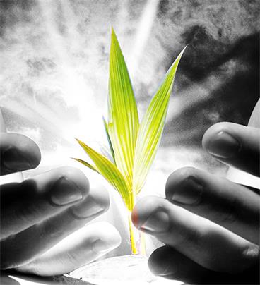 泽润品质(图2) 泽润品质(图2)